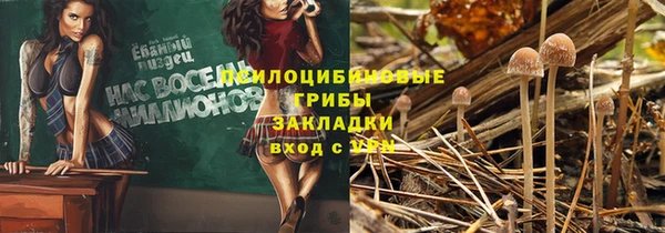 ECSTASY Заволжье