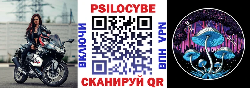 Купить где  Кремёнки  Галлюциногенные грибы GOLDEN TEACHER 