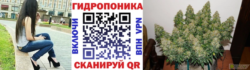 Бошки Шишки марихуана  Купить где  Кремёнки 
